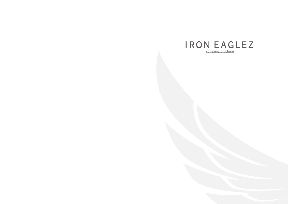 company brochure ｜ 株式会社IRON EAGLEZ